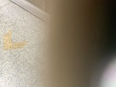 -凯德MALL(望京店)