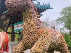 -沈阳植物园