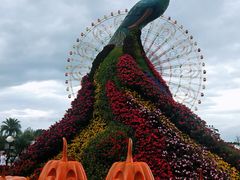 -七彩云南欢乐世界