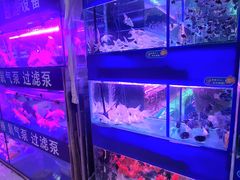 -三旗百汇商品城