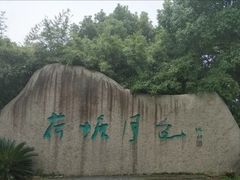 -荷塘月色湿地公园·向阳花洲