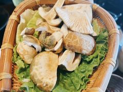 -滇野云南野生菌餐厅(陕西南路店)