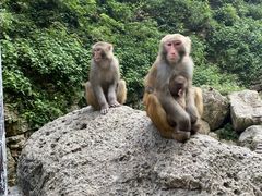 -三峡人家风景区