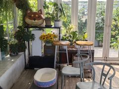 -小时光咖啡馆(北锣鼓巷店)