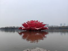 -洛阳市隋唐城遗址植物园