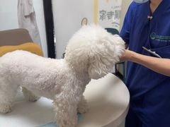 -联合动物医院(光谷诊疗中心)