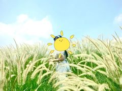-光明小镇欢乐田园
