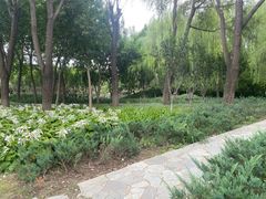-北坞公园