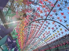 -河北村民俗体验园