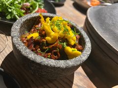 -毛辣果·酸(OHA复兴西路店)