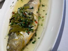 -老洋房花园饭店(绍兴路店)