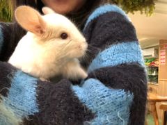 -藦茜花园宠物主题亲子互动体验馆(国顺东路店)