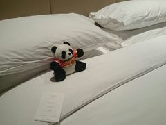 android_upload_pic-北京康莱德酒店