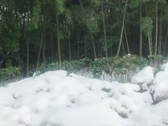 -天目湖涵田半山温泉