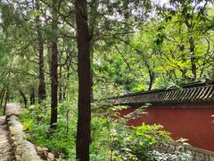 -阳台山自然风景区