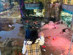 -麒麟中餐厅·经典粤菜·地道菜式老字号(广州长隆酒店)