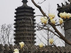 -西海子公园