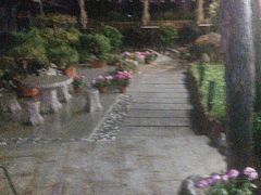 -蘇河湾·新鲁菜·泰山宴(泰山店)