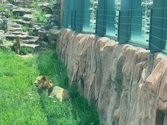 -鄂尔多斯野生动物园