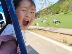 -武陵山森林公园