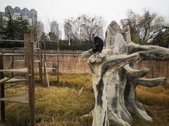-南昌动物园