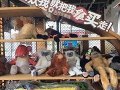 -ZOO COFFEE 动物园咖啡(亦庄店)