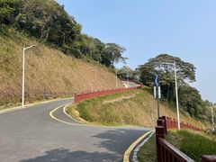 -黄埔油麻山森林公园