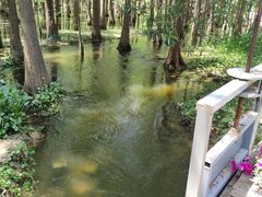 -尚湖风景区