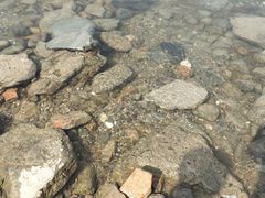 -汉江公园