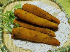 -丁老爷子苏香圆