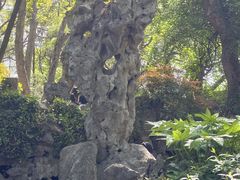 -绮园景区