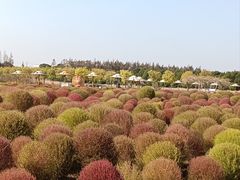 -嘉北郊野公园