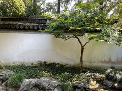 -秋霞圃