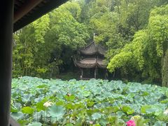-三苏祠