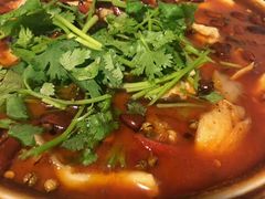 -胖哥川菜馆(武东路店)