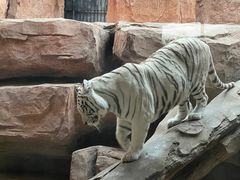 -鄂尔多斯野生动物园