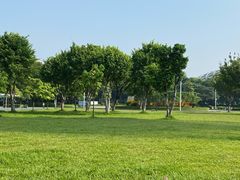 -文华公园(禅城区)