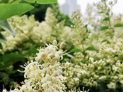 -湖南省立第一师范学校旧址