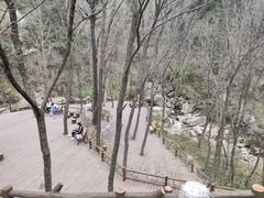 -王顺山国家森林公园