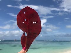 -白沙滩