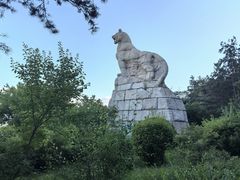 -帽儿山国家森林公园