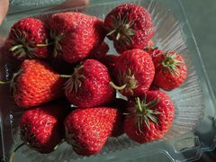 -幸福荣耀超市(学院路店)