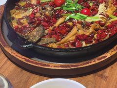 -老板恋上鱼(恒隆广场店)