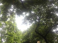 -晓港公园