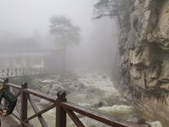 -青峰峡国家森林公园