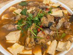 -煲来饱去冷水鱼