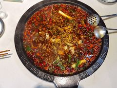美蛙火锅-大江美蛙鱼火锅(都江堰店)