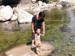 -青峰峡国家森林公园