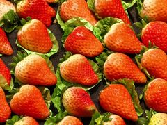 -浦江城市生活广场(江月路店)