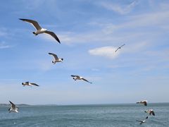 -悦海公园